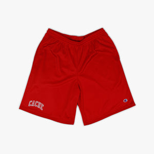 TEAM LOGO SHORTS ROSE