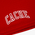 TEAM LOGO SHORTS ROSE