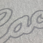 CITY SCRIPT TONAL/REFLECTION HOODIE