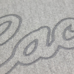 CITY SCRIPT TONAL/REFLECTION HOODIE